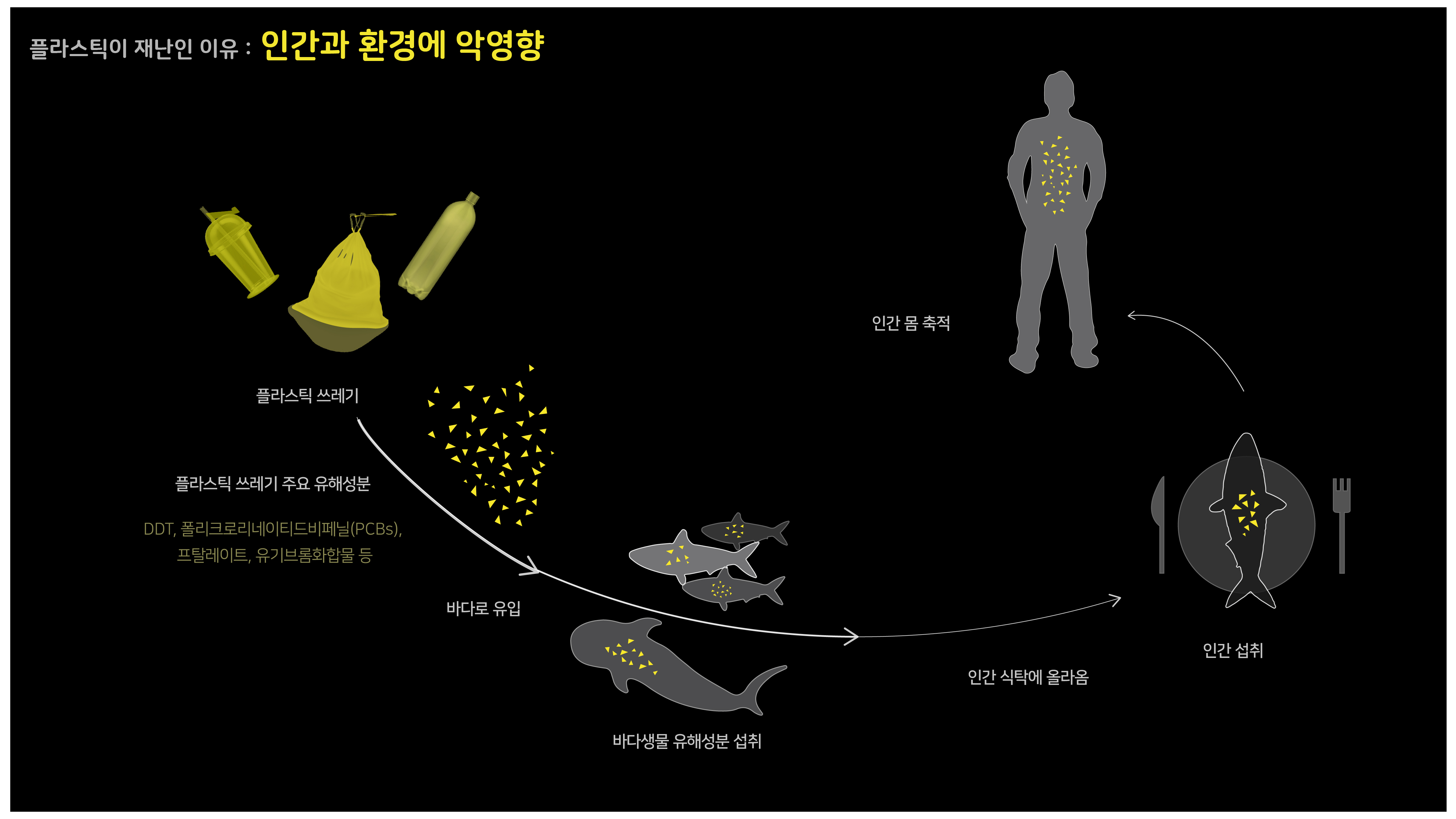 작품소개이미지_고려대학교_Fullastic_02.jpg